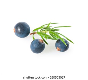 Juniper berries on a white background close-up