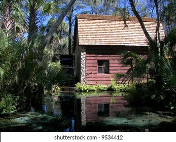 Juniper Springs In Ocala, National Forest