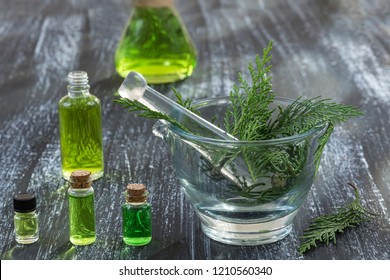 Juniper, Twig With Cones, Close Up,Bottle Of Cypress Tincture, Infusion, Oil