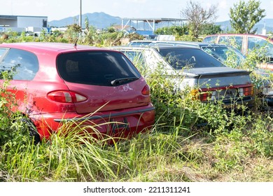 Junk Car Yard.
Several Cars Are Abandoned In An Overgrown Lot.