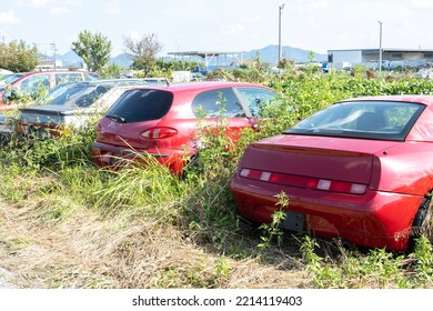 Junk Car Yard.
Several Cars Are Abandoned In An Overgrown Lot.