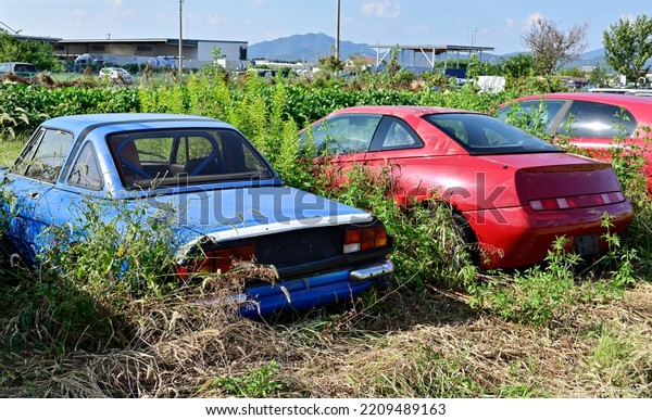 Junk car yard.\
Several cars are abandoned in an\
overgrown lot.
