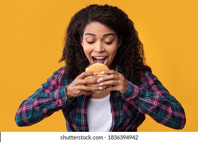 Junk Food. Closeup Portrait Of Funny Hungry African American Woman Eating Burger. Black Lady With Curly Hair Holding And Taking Bite Of Tasty Sandwich, Isolated Over Orange Studio Background, Banner