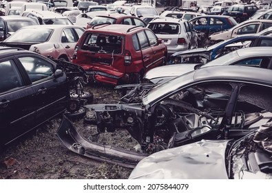 Junk yard with many wrecked car