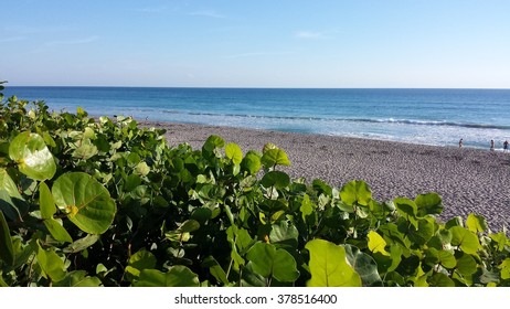 Juno Beach 