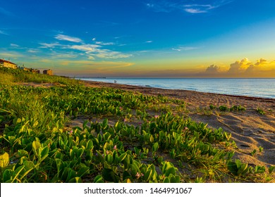 Juno Beach Sunrise Ocean Water