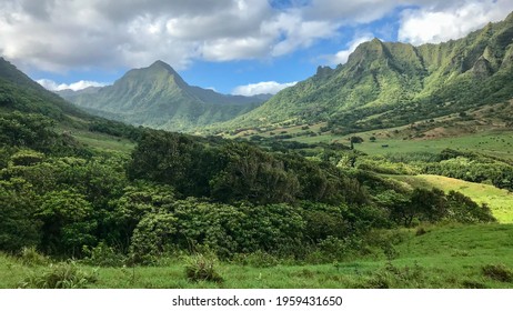 Jurassic Park Landscape On Oahu