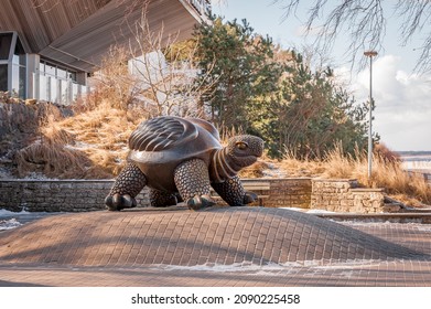Jurmala, Latvia - March 19, 2021: The bronze statue of a turtle, which symbolises longevity. Jurmala tourism place.