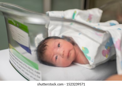 Just Born Asian Baby Laying In The Infant Bassinet Basket At Hospital