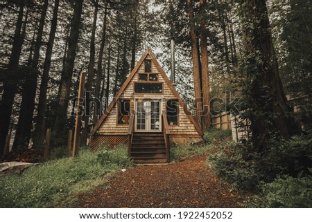just a cabin in the woods