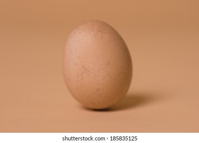 Egg - nude photos