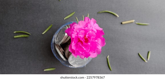 just an illustration for the increasingly expensive planting costs - Shutterstock ID 2257978367
