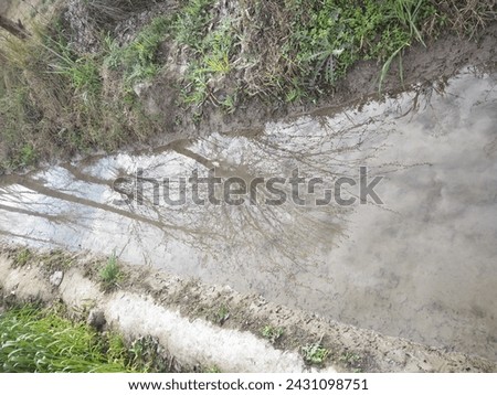 just nature pic only water use in farm 