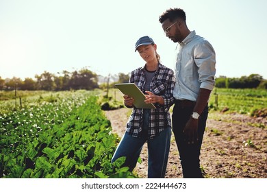 Just take a look at these growth figures. Cropped shot of two young farmers looking at a tablet while working on their farm. - Shutterstock ID 2224444673