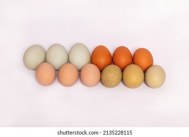 Just In Time For Easter A Small Group Of Twelve Multi Colored Eggs Lined Up In Two Rows On An All White Background.