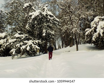 jutarnja šetnja parkom - Shutterstock ID 1059944147