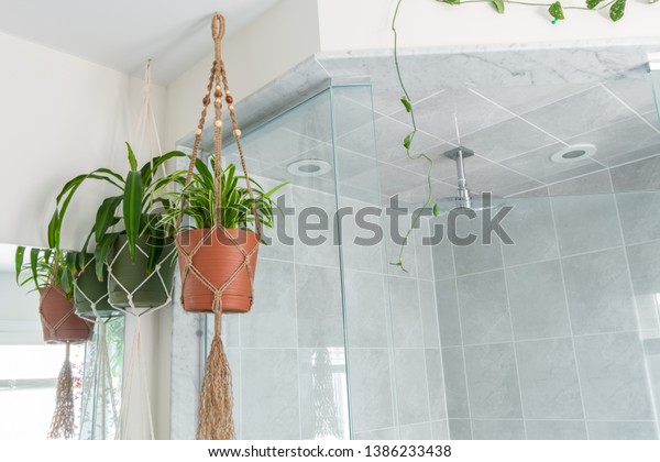 Jute Twine Macrame Plant Hanger Hanging Stockfoto Jetzt