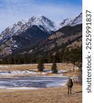 Juvenile bighorn sheep in mountain setting. Young bighorn in the Rocky Mountains.  Winter scene with bighorn sheep. Rocky Mountain background. Blue sky and snowy mountain background.