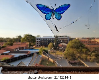 The juxtaposition of a blue butterfly in front of a broken window gazing onto suburban buildings 