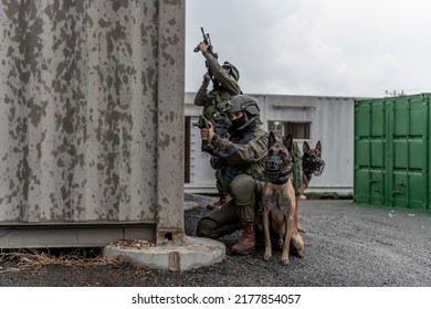 K9 Dog And Handlers Storm A Building