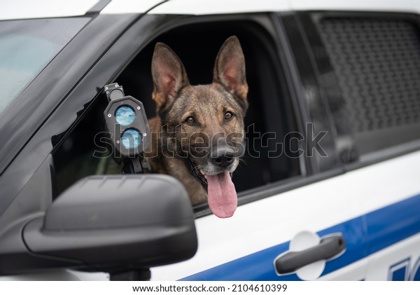 K9 dog unit on radar
duty