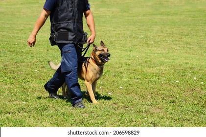 K9 Police Officer With His Dog In Training