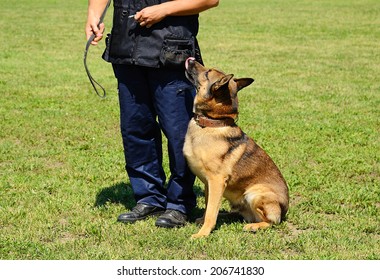 K9 Police Officer With His Dog In Training