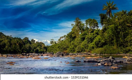 Suriname Nature Images, Stock Photos & Vectors |