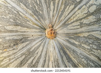 Kabocha Pumpkin, Macro Close-up Texture.