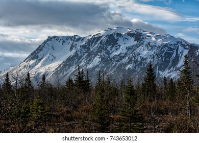 Kachemak Bay State Park