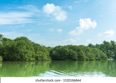 The Kadalundi Bird Sanctuary Lies In The Kozhikode Districts Of The State Of Kerala In India.