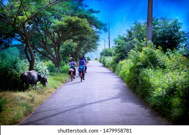 Kadamakudi A Typical Village In Kerala India 