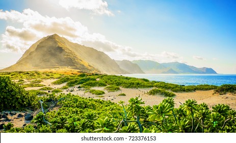 Ka'ena Point Sunrise