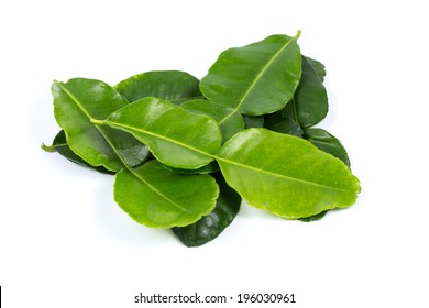 Kaffir Lime Leaf Isolated On White Background