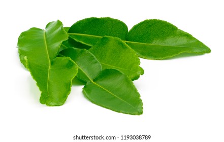 Kaffir Lime Leaves