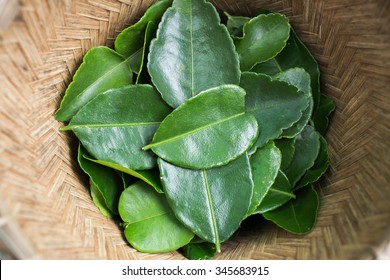 Kaffir Lime Leaves