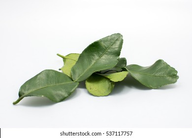 Kaffir Lime Leaves