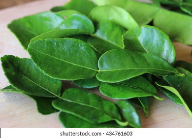 434,394 Lime leaves Images, Stock Photos & Vectors | Shutterstock