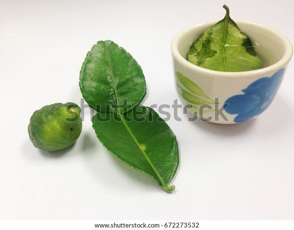 Kaffir Lime Leaves Tea Healthy Lower Stock Photo (Edit Now