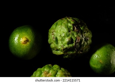  Kaffir Limes Are The Citrus Fruit Grown On The Kaffir Lime Tree Citrus Lystrix