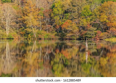 221 Kagami lake Images, Stock Photos & Vectors | Shutterstock