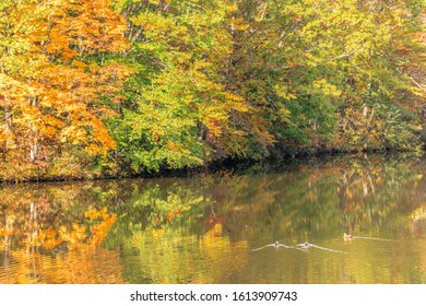 221 Kagami lake Images, Stock Photos & Vectors | Shutterstock