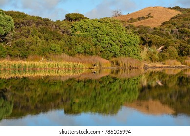 Kai Iwi Lakes Reflection