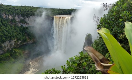 Kaieteur Falls Guyana With Plant In Foreground