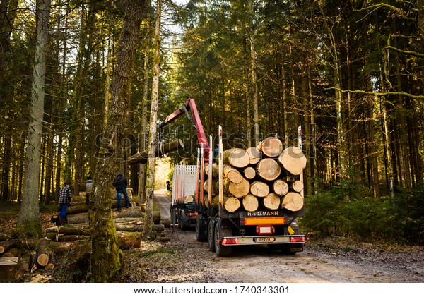 Kaiserwald,\
Austria - 21.01.2020: Crane in forest loading logs in the truck.\
Timber harvesting and transportation in forest. Transport of forest\
logging industry and forestry\
industry.