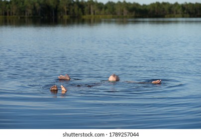 Kakerdaja / Estonia - August 01 2020: Teenager Blonde Girl Swimming In Bog Lake. Hands And Feet Spread Out. Human Body Floating In Pool. 