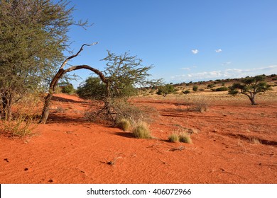 namibia africa tijme