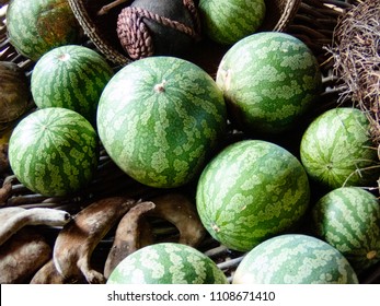 Kalahari Melons, Fruit In A Basket.