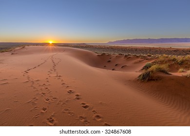 Kalahari Sunset