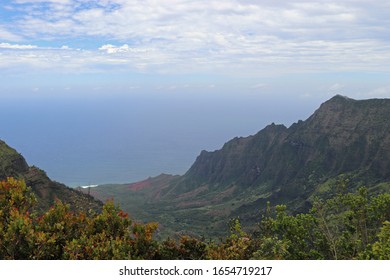 Kalalau Lookout In The Kokee State Park Kauai Hawaii